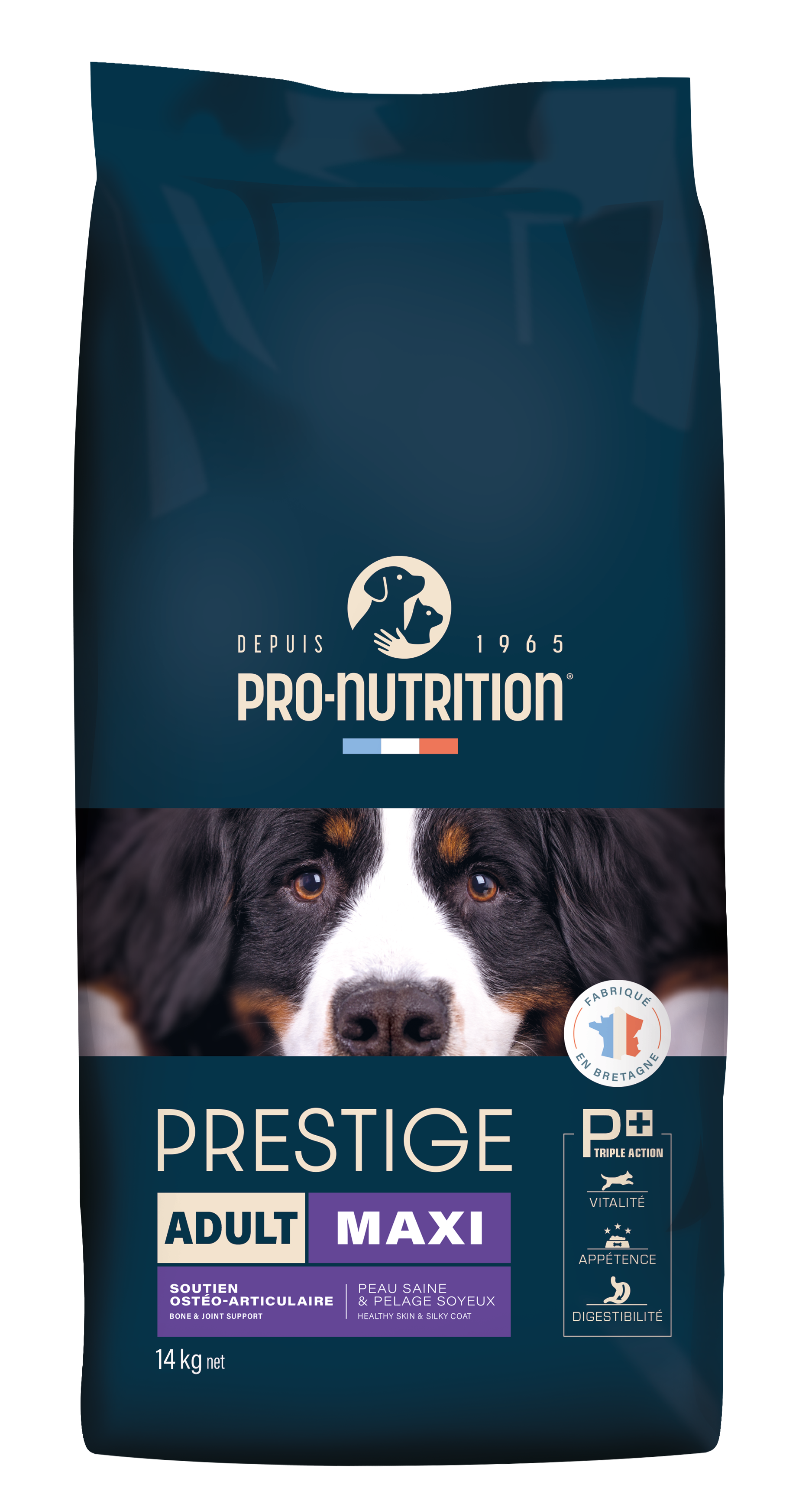 Prestige Maxi Adult