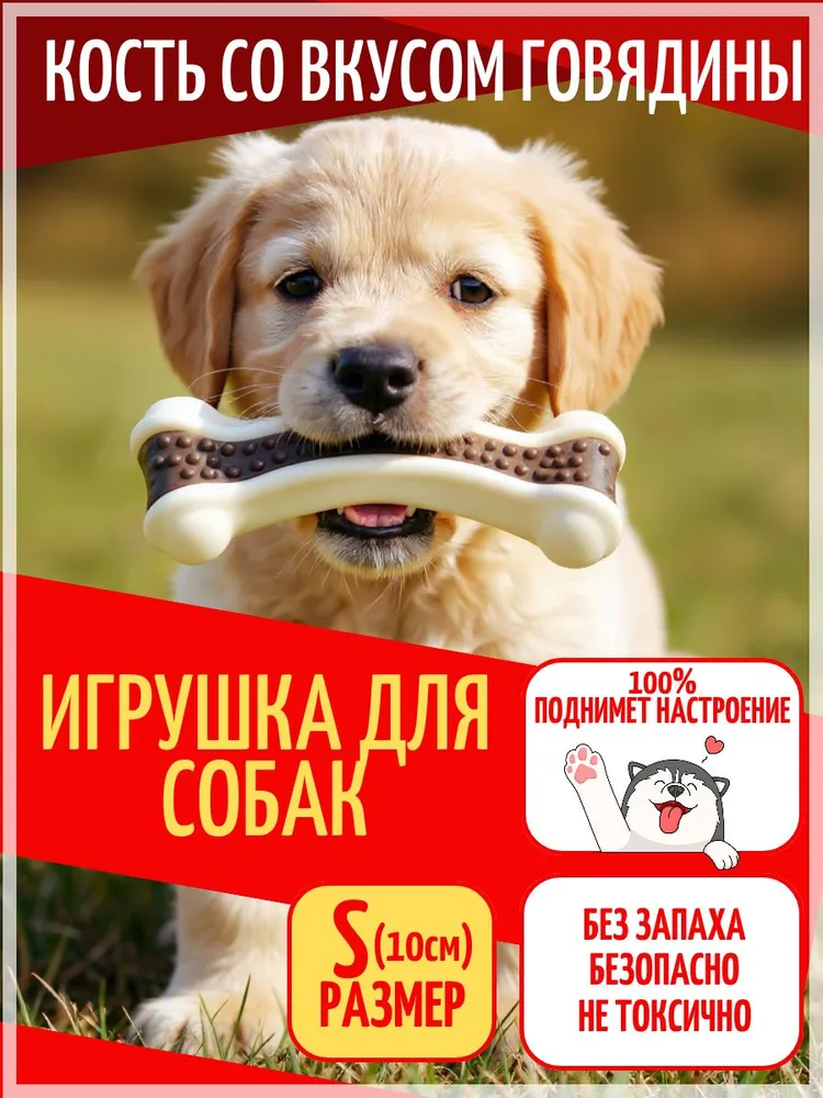 Кость с запахом говядины S