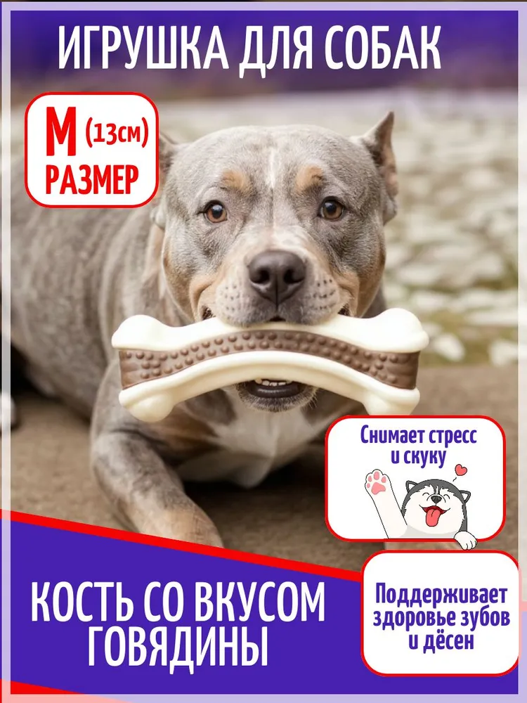 Кость с запахом говядины М