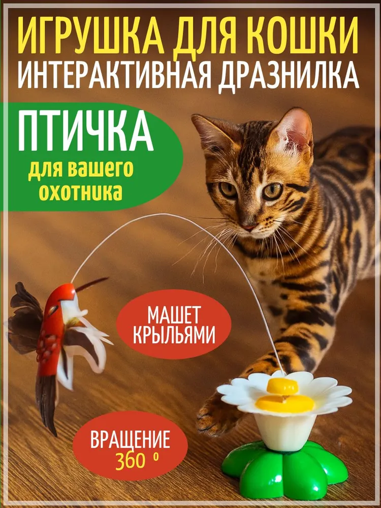 Птичка на ромашке на батарейке